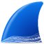 Wireshark 官方版4.4.8