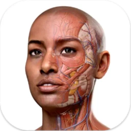 Complete Anatomy 破解版11.5